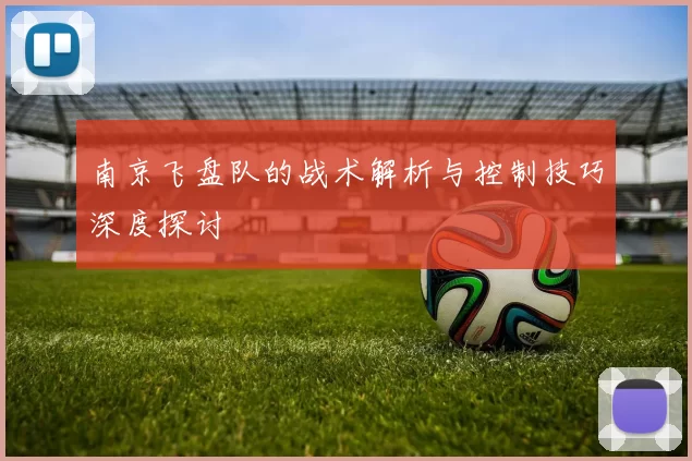南京飞盘队的战术解析与控制技巧深度探讨