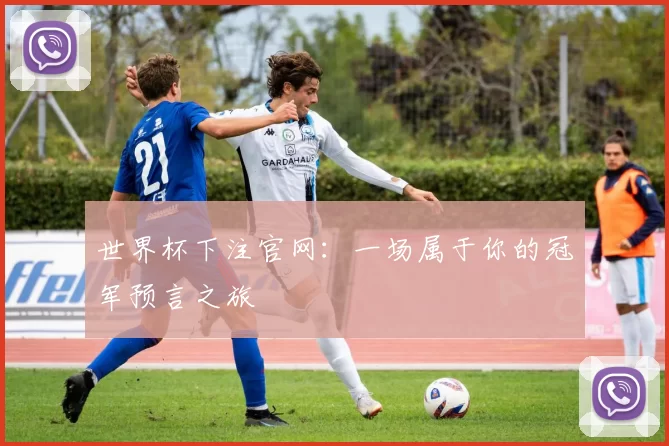 世界杯下注官网:一场属于你的冠军预言之旅