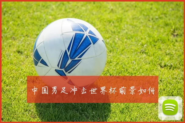 中国男足冲击世界杯前景如何