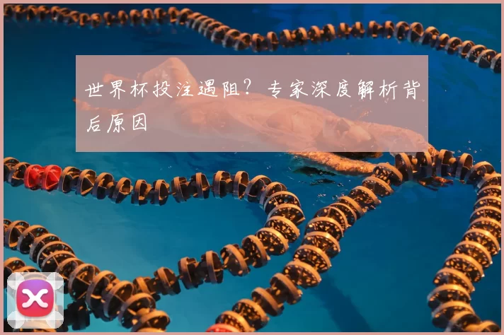世界杯投注遇阻？专家深度解析背后原因