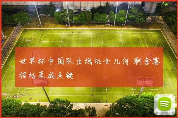世界杯中国队出线机会几何 剩余赛程结果成关键
