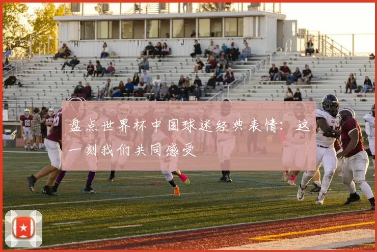 盘点世界杯中国球迷经典表情:这一刻我们共同感受