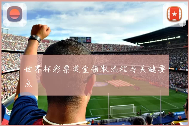 世界杯彩票奖金领取流程与关键要点