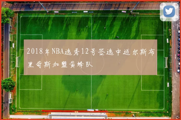 2018年NBA选秀12号签选中迈尔斯布里奇斯加盟黄蜂队