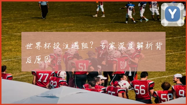 世界杯投注遇阻?专家深度解析背后原因