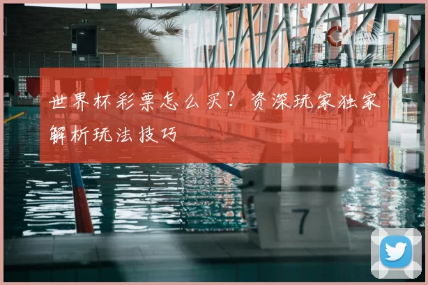 世界杯彩票怎么买?资深玩家独家解析玩法技巧