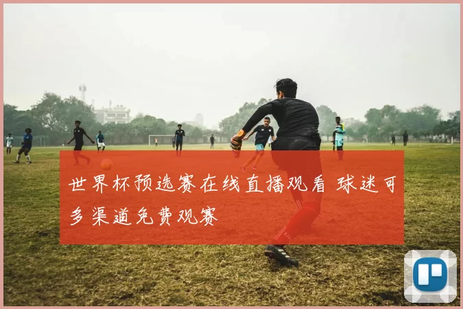 世界杯预选赛在线直播观看 球迷可多渠道免费观赛