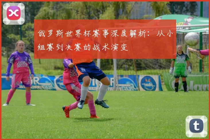 俄罗斯世界杯赛事深度解析:从小组赛到决赛的战术演变