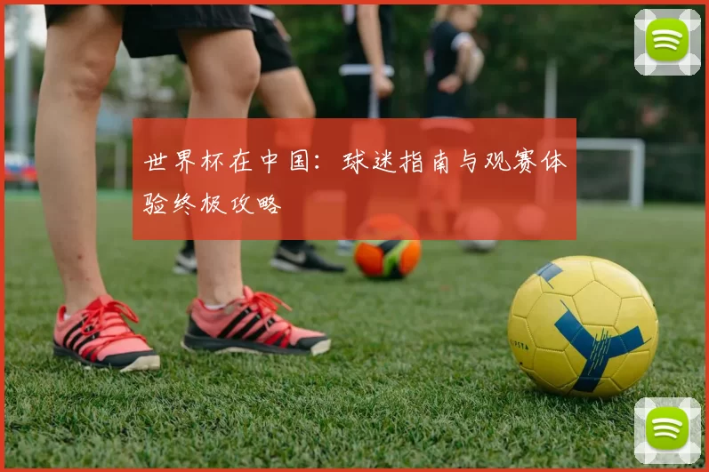 世界杯在中国:球迷指南与观赛体验终极攻略
