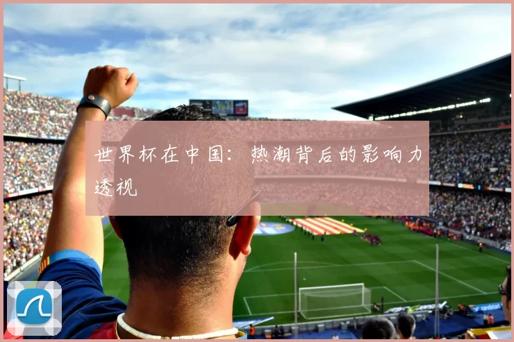 世界杯在中国:热潮背后的影响力透视