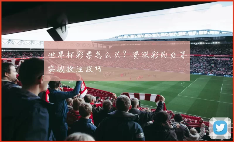 世界杯彩票怎么买？资深彩民分享实战投注技巧