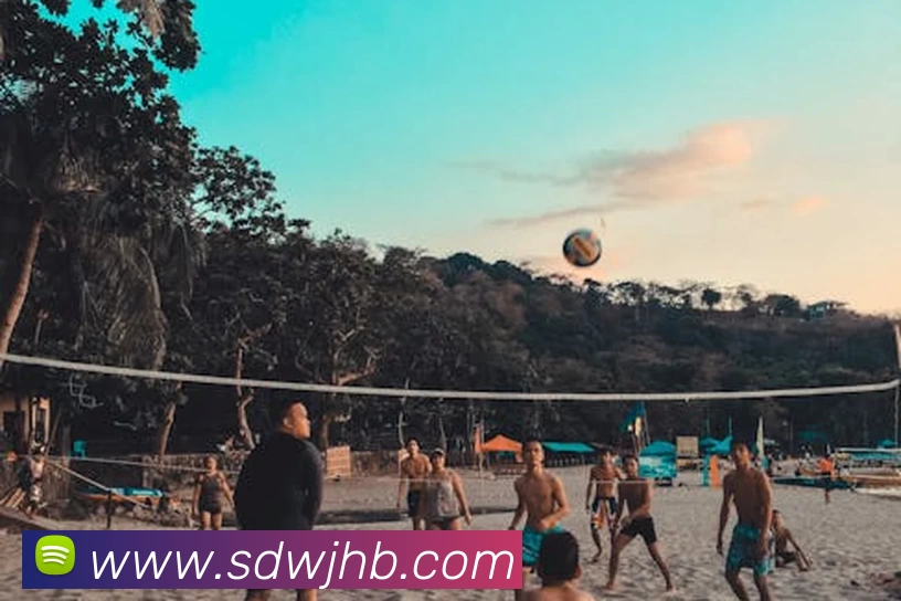 App Interface Preview