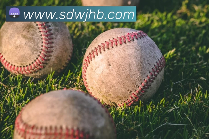 线上买球APP 封面图