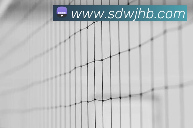 数据防护可视化